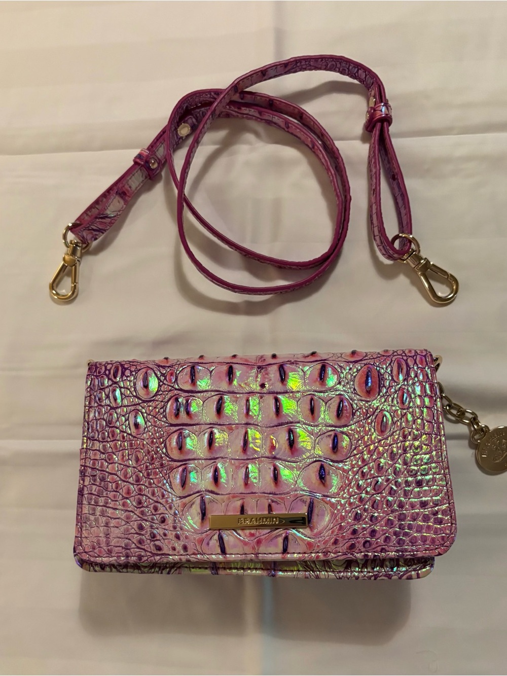 Brahmin cross body.